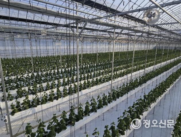 스마트팜 내부사진