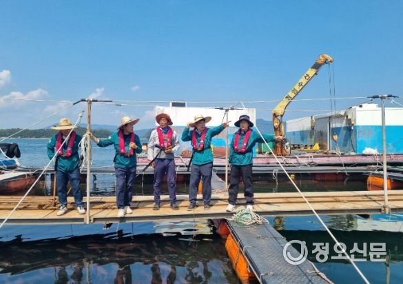 고수온 주의보 확대
