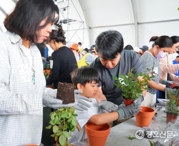 제17회 중랑 서울장미축제에서 반려장미를 심고 있는 중랑구민들의 모습