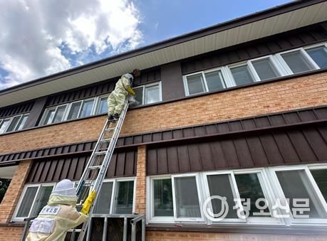 전라북도소방본부 비오는 날씨에도 벌쏘임 사고 주의해야