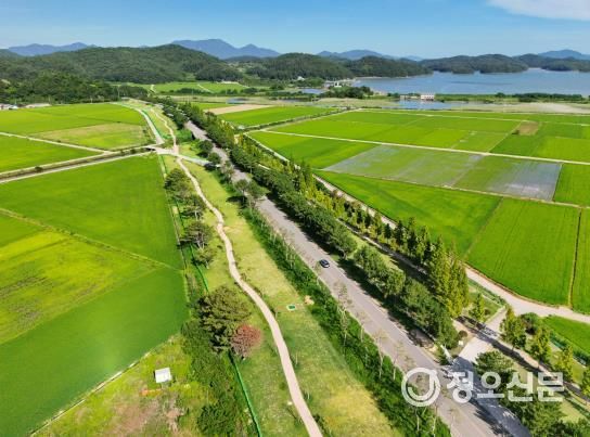 진교파크골프장