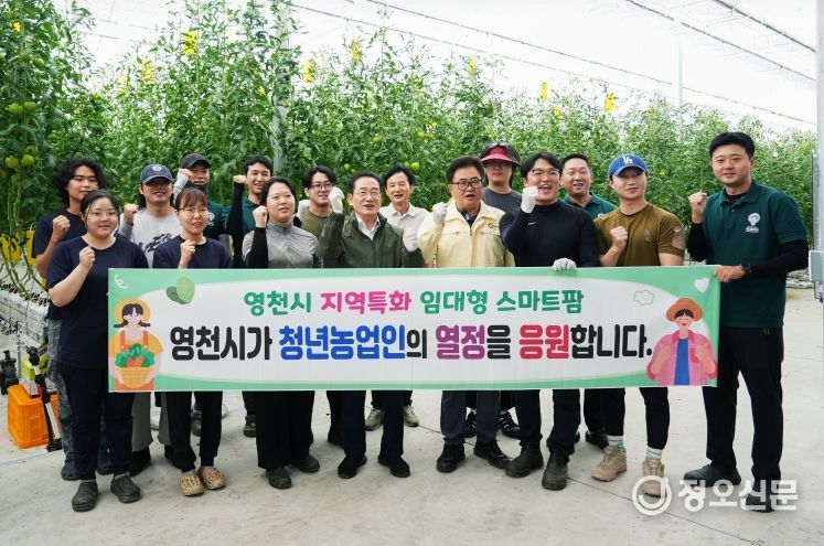 영천시, ‘지역특화 임대형 스마트팜’ 토마토 첫 수확