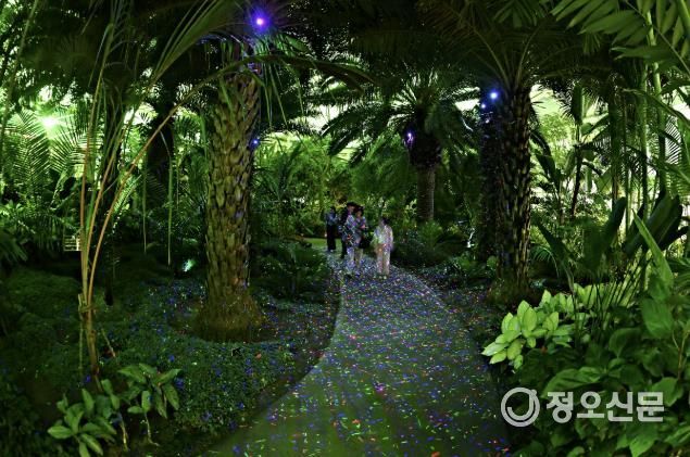 야간 개장한 부천호수식물원 '수피아'에서 시민들이 산책을 하고 있다.