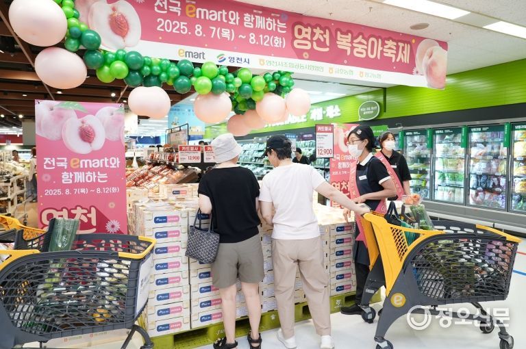 전국 1위 영천 복숭아, 전국 132개 이마트 진출!