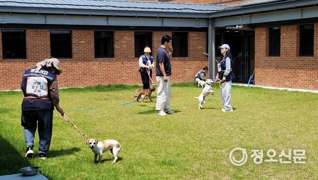 시민과 반려동물이 함께하는 생명존중교육 및 맞춤형 돌봄교육 제공